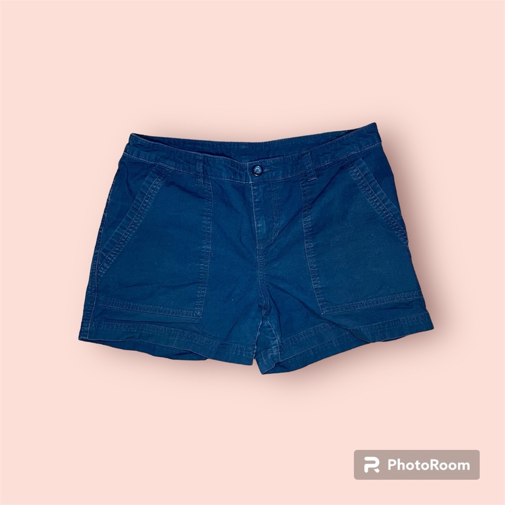 Blue Patagonia Chino Hiking Shorts, Size 8